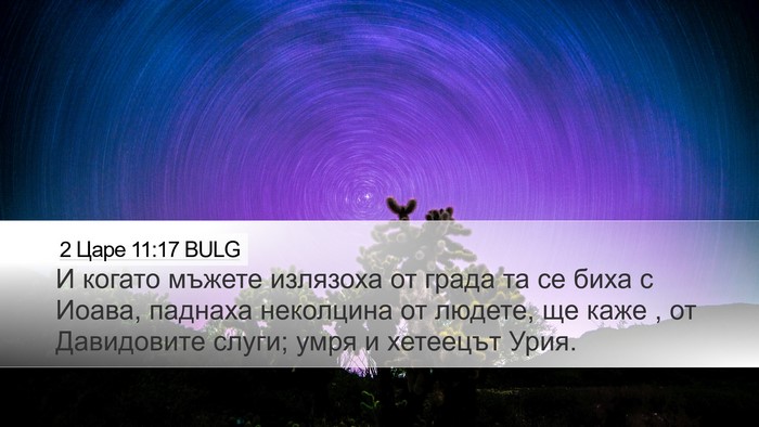 2 Царе 11:17 BULG Desktop Wallpaper - И когато мъжете излязоха - Desktop Bible Verse Wallpaper