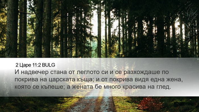 2 Царе 11:2 BULG Bible Verse Image