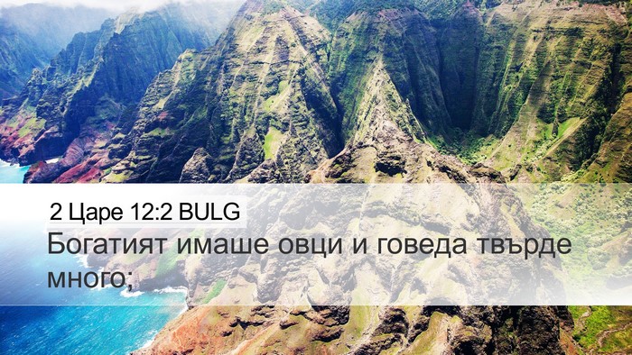2 Царе 12:2 BULG Desktop Wallpaper - Богатият имаше овци и - Desktop Bible Verse Wallpaper