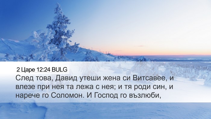 2 Царе 12:24 BULG Desktop Wallpaper - След това, Давид утеши жена - Desktop Bible Verse Wallpaper