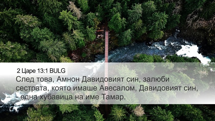 2 Царе 13:1 BULG Bible Verse Image