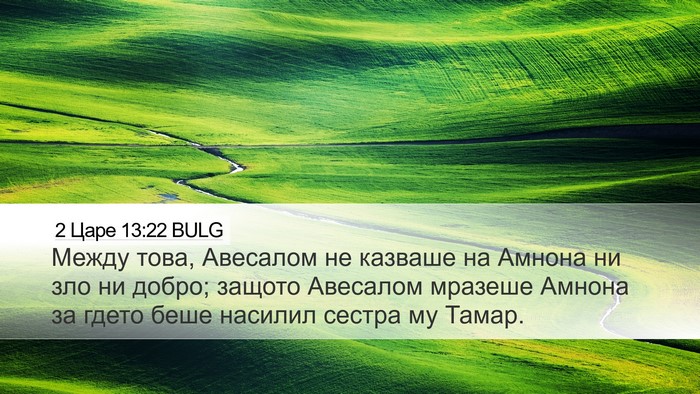 2 Царе 13:22 BULG Desktop Wallpaper - Между това, Авесалом не - Desktop Bible Verse Wallpaper