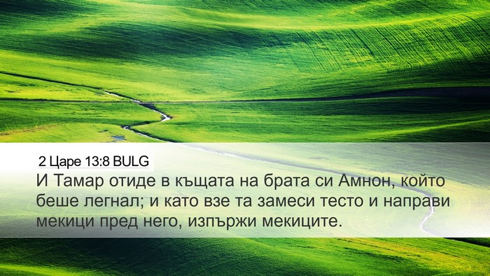 2 Царе 13:8 BULG Desktop Wallpaper - И Тамар отиде в къщата на - Desktop Bible Verse Wallpaper
