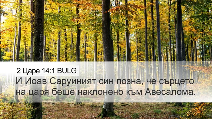 2 Царе 14:1 BULG Desktop Wallpaper - И Иоав Саруиният син позна, - Desktop Bible Verse Wallpaper