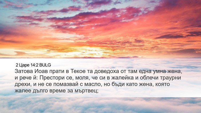 2 Царе 14:2 BULG Bible Verse Image