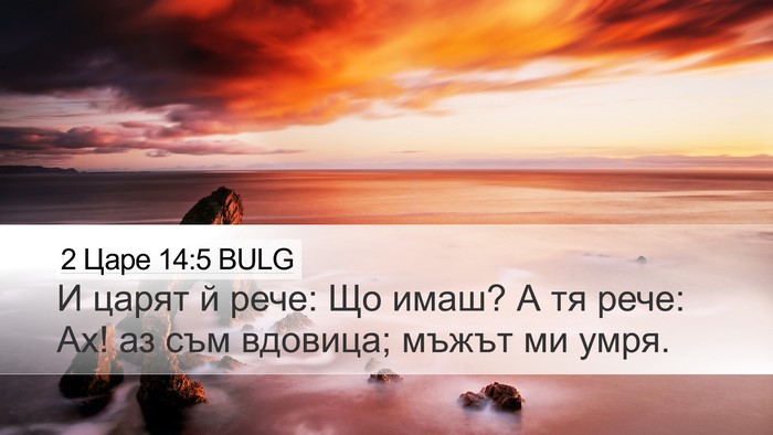 2 Царе 14:5 BULG Bible Verse Image
