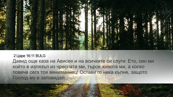 2 Царе 16:11 BULG Bible Verse Image
