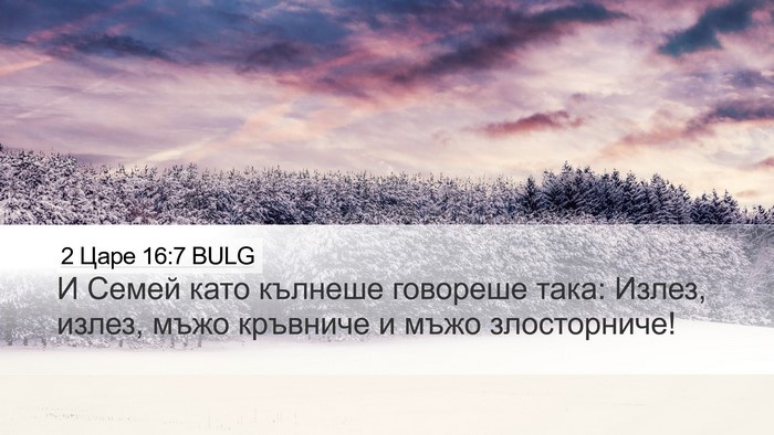 2 Царе 16:7 BULG Bible Verse Image