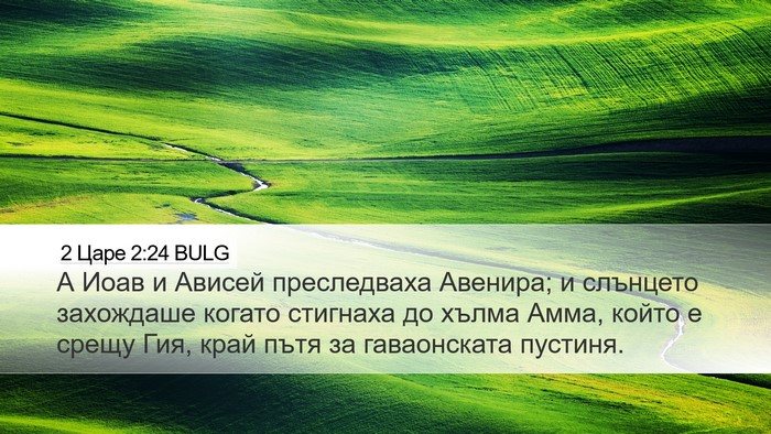 2 Царе 2:24 BULG Desktop Wallpaper - А Иоав и Ависей - Desktop Bible Verse Wallpaper