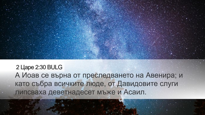 2 Царе 2:30 BULG Desktop Wallpaper - А Иоав се върна от - Desktop Bible Verse Wallpaper