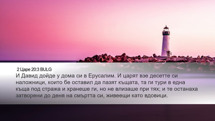 2 Царе 20:3 BULG Desktop Wallpaper - И Давид дойде у дома си в - Desktop Bible Verse Wallpaper