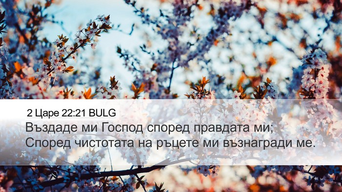 2 Царе 22:21 BULG Desktop Wallpaper - Въздаде ми Господ според - Desktop Bible Verse Wallpaper
