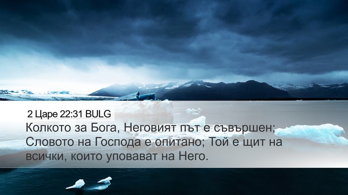 2 Царе 22:31 BULG Bible Verse Image