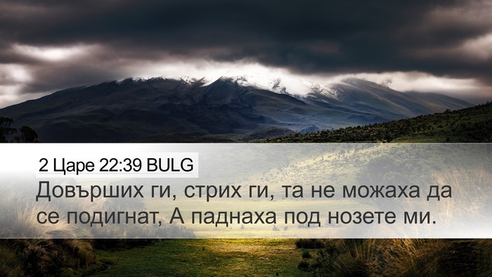2 Царе 22:39 BULG Bible Verse Image