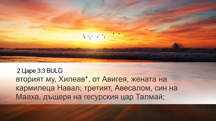 2 Царе 3:3 BULG Bible Verse Image