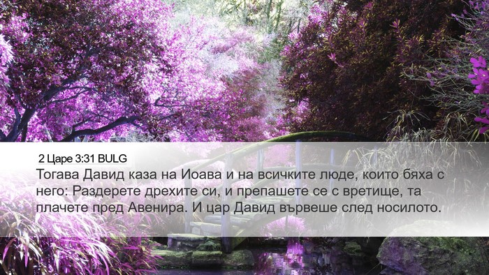 2 Царе 3:31 BULG Bible Verse Image