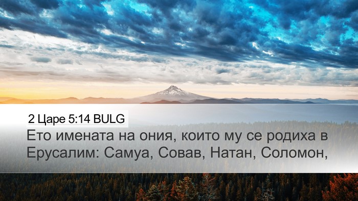 2 Царе 5:14 BULG Bible Verse Image