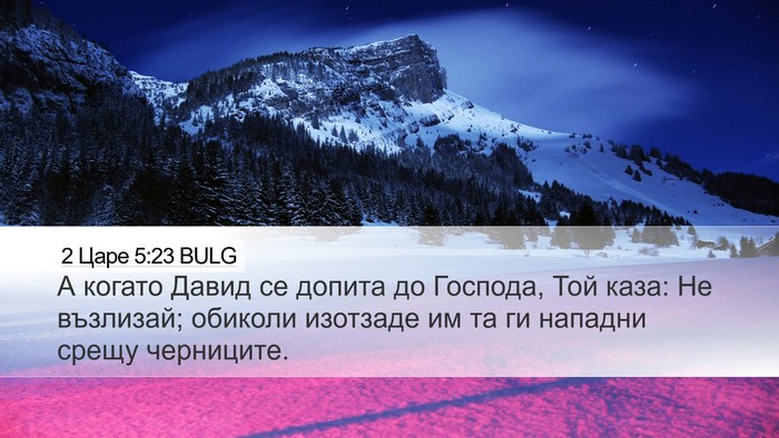 2 Царе 5:23 BULG Desktop Wallpaper - А когато Давид се допита до - Desktop Bible Verse Wallpaper