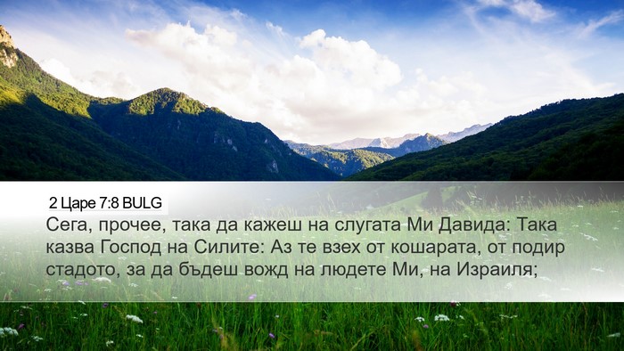 2 Царе 7:8 BULG Bible Verse Image