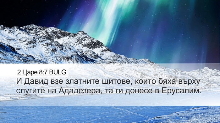 2 Царе 8:7 BULG Desktop Wallpaper - И Давид взе златните - Desktop Bible Verse Wallpaper