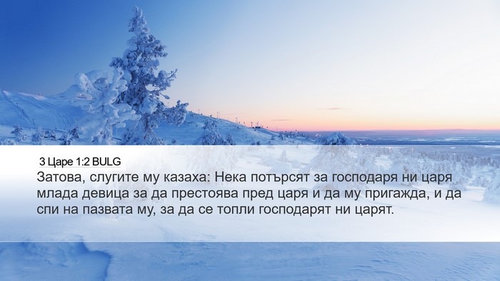 3 Царе 1:2 BULG Desktop Wallpaper - Затова, слугите му казаха: - Desktop Bible Verse Wallpaper