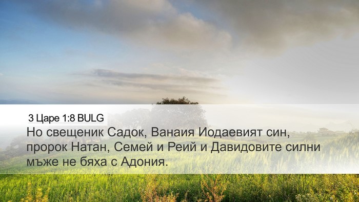 3 Царе 1:8 BULG Bible Verse Image