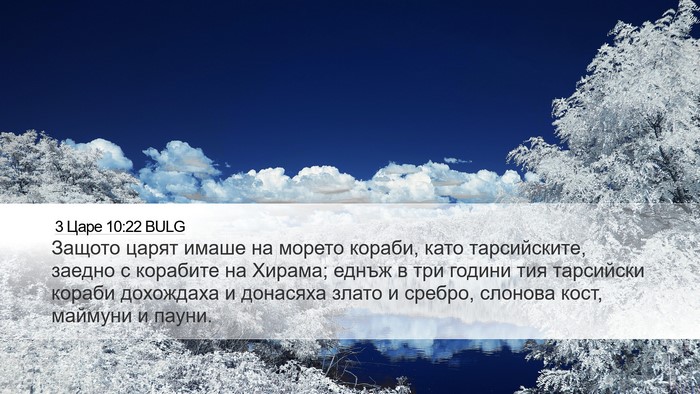 3 Царе 10:22 BULG Bible Verse Image