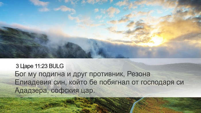 3 Царе 11:23 BULG Bible Verse Image