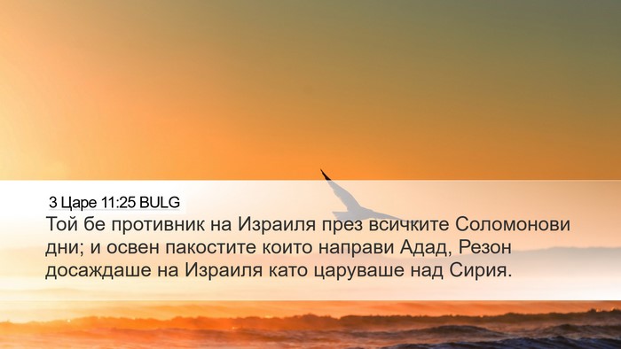 3 Царе 11:25 BULG Desktop Wallpaper - Той бе противник на - Desktop Bible Verse Wallpaper