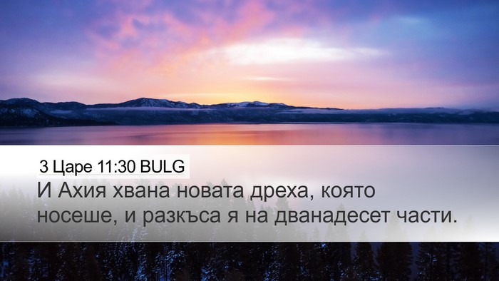 3 Царе 11:30 BULG Bible Verse Image