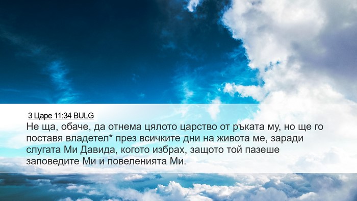3 Царе 11:34 BULG Bible Verse Image