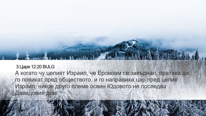 3 Царе 12:20 BULG Bible Verse Image