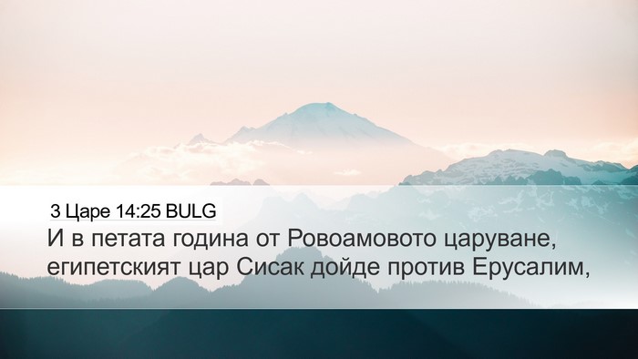 3 Царе 14:25 BULG Bible Verse Image