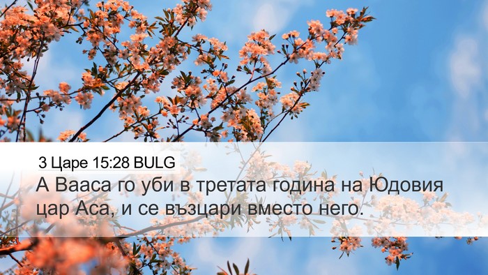3 Царе 15:28 BULG Bible Verse Image