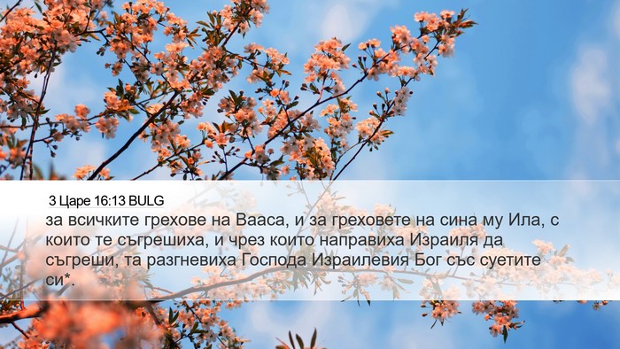 3 Царе 16:13 BULG Bible Verse Image