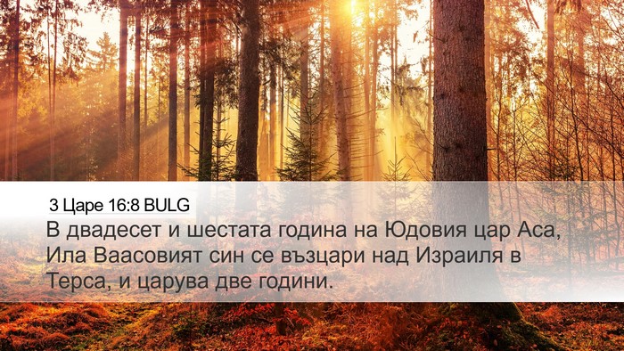 3 Царе 16:8 BULG Desktop Wallpaper - В двадесет и шестата - Desktop Bible Verse Wallpaper
