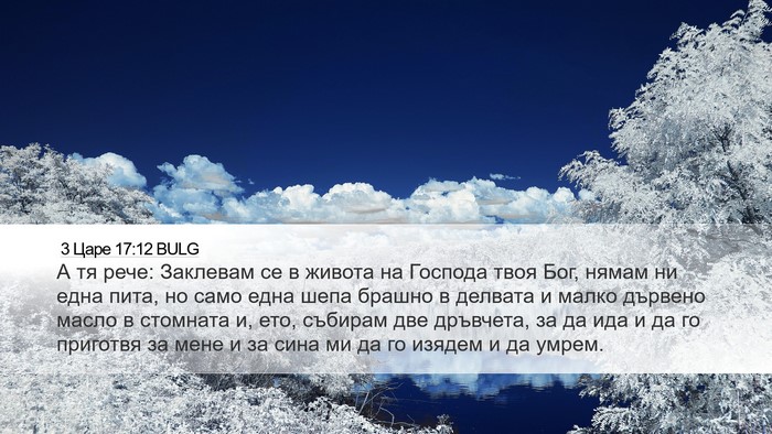 3 Царе 17:12 BULG Bible Verse Image