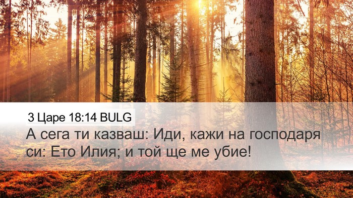 3 Царе 18:14 BULG Bible Verse Image