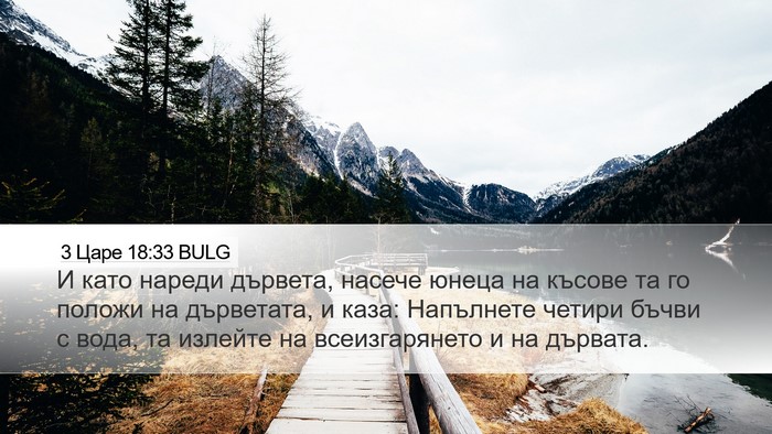 3 Царе 18:33 BULG Desktop Wallpaper - И като нареди дървета, - Desktop Bible Verse Wallpaper