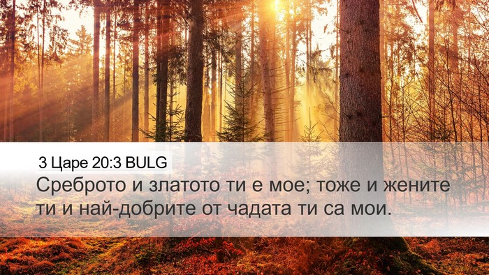 3 Царе 20:3 BULG Desktop Wallpaper - Среброто и златото ти е - Desktop Bible Verse Wallpaper