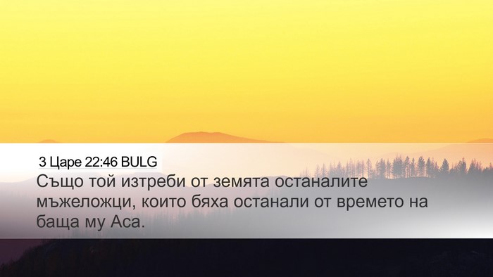 3 Царе 22:46 BULG Bible Verse Image