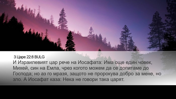3 Царе 22:8 BULG Bible Verse Image