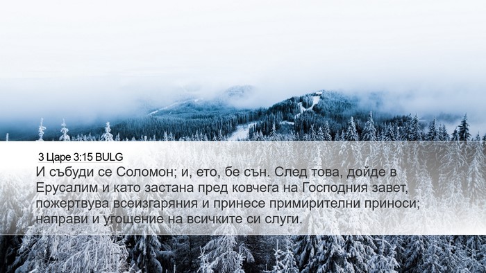 3 Царе 3:15 BULG Desktop Wallpaper - И събуди се Соломон; и, ето, - Desktop Bible Verse Wallpaper