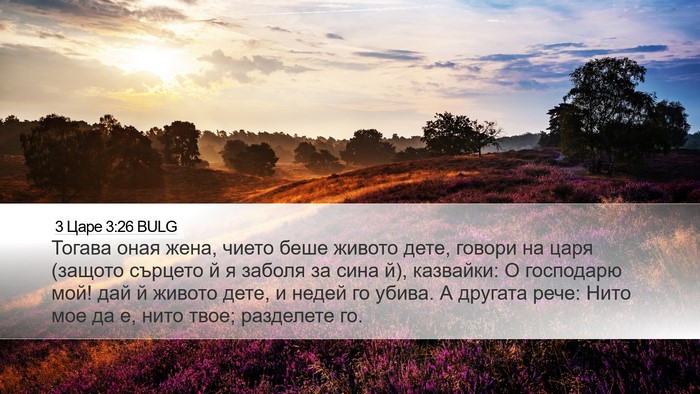 3 Царе 3:26 BULG Bible Verse Image