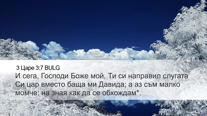 3 Царе 3:7 BULG Bible Verse Image