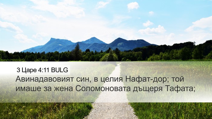 3 Царе 4:11 BULG Desktop Wallpaper - Авинадавовият син, в целия - Desktop Bible Verse Wallpaper