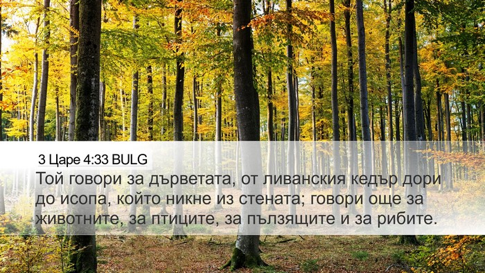 3 Царе 4:33 BULG Bible Verse Image