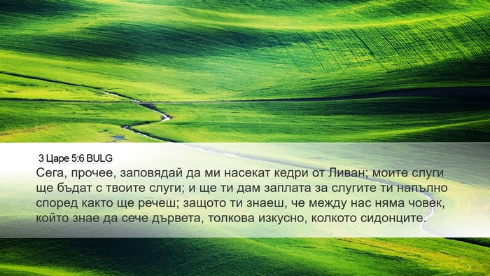 3 Царе 5:6 BULG Bible Verse Image