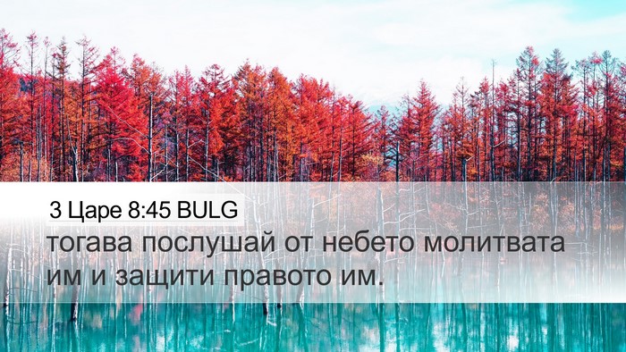 3 Царе 8:45 BULG Bible Verse Image