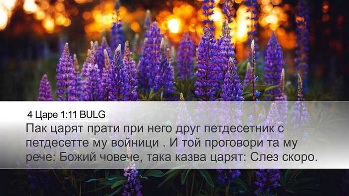 4 Царе 1:11 BULG Desktop Wallpaper - Пак царят прати при него - Desktop Bible Verse Wallpaper